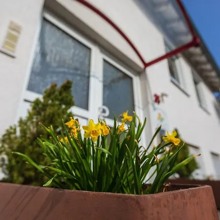 Haus Flora - Apartamento Cochem